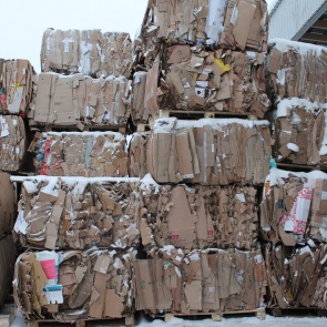 Федерация выделит дополнительные миллионы Красноярскому краю на борьбу с мусором