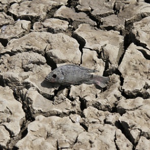 Предсказана глобальная нехватка питьевой воды