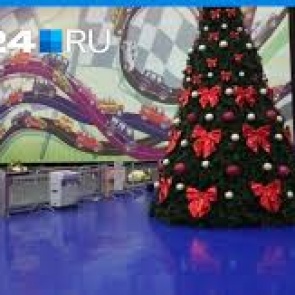 Найден виновный в обрушении на девочку фотозоны на елке мэра