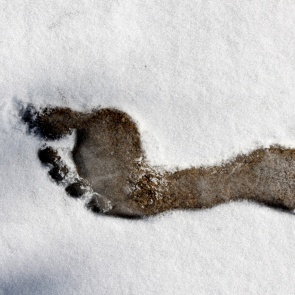 В Красноярском крае полицейские нашли на улице босого ребенка. Девочку бросили одну в доме ее родные