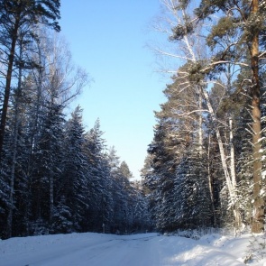 В Красноярском крае мужчина ушел в тайгу два месяца назад и пропал