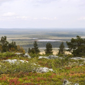 Названа самая хорошая страна мира