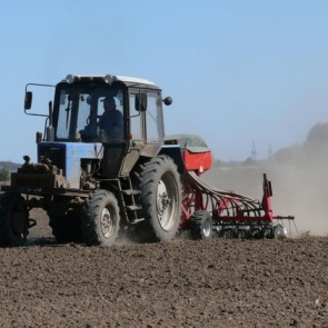 Фермерам Красноярского края помогут деньгами