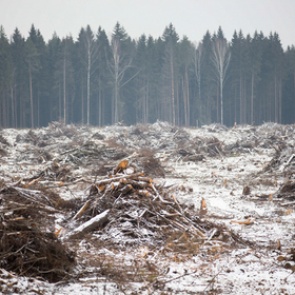 Доказано существование «климатической бомбы» в России