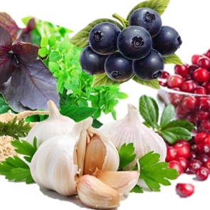 ПЯТЕРКА ЛУЧШИХ ПРИРОДНЫХ АНТИБИОТИКОВ