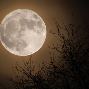 Самую большую Луну 2019 года смогут наблюдать жители Красноярского края