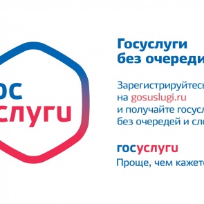 Полицейские напоминают о возможности добровольной дактилоскопии с помощью Единого портала госуслуг