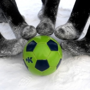 Правила футбола изменили