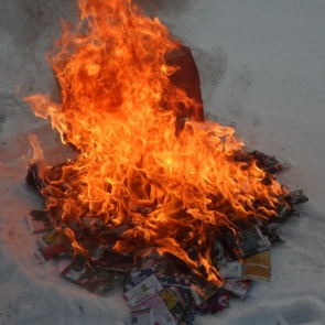 Белорусские семена забраковали в Красноярском крае