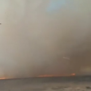 В Красноярском крае уже горит трава