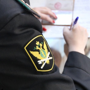 Британская компания засудила предпринимателя из Козульки за поддельные игрушки