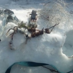 В Красноярском крае задержали охотника на медведей