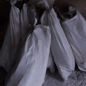 Житель края наловил особо ценной рыбы на 4 млн и спрятал ее в гараже. Но кто-то сдал его полиции