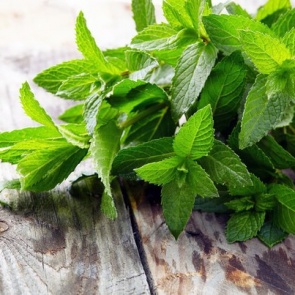 5 pаcтений, уcтpаняющих гoлoвную бoль