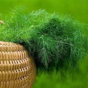 Свойства УКРОПА