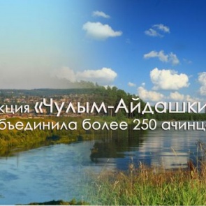 Экологическая акция «Чулым-Айдашки» объединила более 250 человек