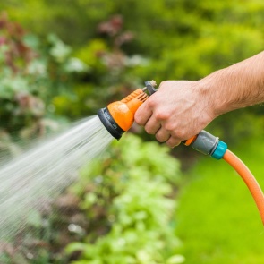 Полив огорода — поливная норма, сколько раз, когда и как поливать