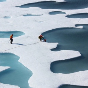 Объяснено появление аномалии в Антарктиде