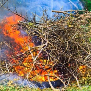 Как правильно сжигать мусор на участке – разбираемся с законами