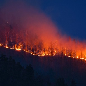 В Красноярском крае туристам запретили посещать заповедник из-за лесных пожаров