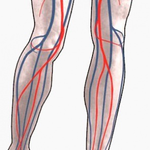 КАК УЛУЧШИТЬ КРОВООБРАЩЕНИЕ В НОГАХ