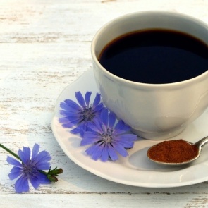 Замена кофе: полезен ли цикорий