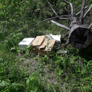 В Красноярском крае сотрудники транспортной полиции задержали подозреваемых в хищении 210 килограммов сыра