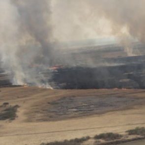 Дым от красноярских лесных пожаров добрался до Урала и Поволжья