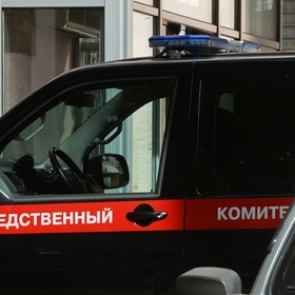 В России насмерть забили двухлетнюю девочку