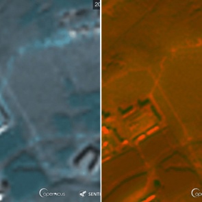 Красноярские ученые создают нейросеть, которая поможет восстановить леса Сибири