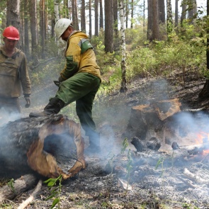 Глава Минприроды предложил привлекать блогеров к освещению чрезвычайных ситуаций