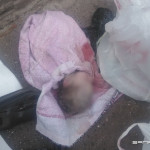 В Абакане дворник нашел за мусорным баком тело новорожденного