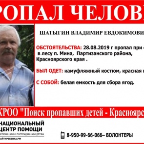 «Нужен вертолет и собаки»: в тайге под Красноярском шестой день ищут пожилого мужчину в камуфляже