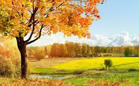 В Красноярск идет похолодание