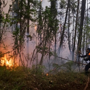 Россиян предупредили о росте лесных пожаров 1