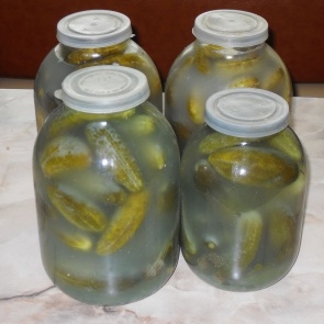 Что делать, если помутнели огурцы в банке: как исправить ошибки и предотвратить их в следующих заготовках