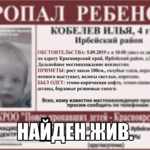 Красноярские волонтёры сообщили о прекращении поисков 4-летнего пропавшего мальчика