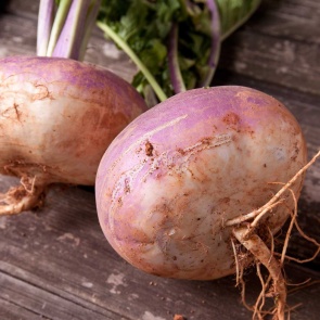 Как и когда убирать брюкву, чтобы сохранить урожай до весны