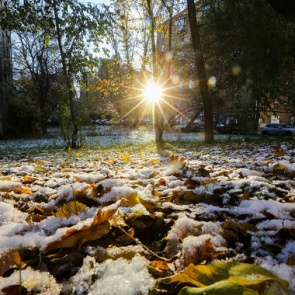 Синоптики пообещали первый снег к концу недели