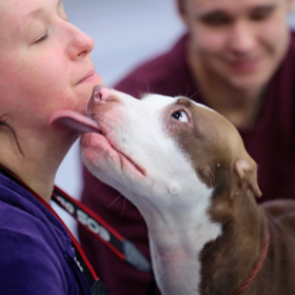 Россиян предложили обследовать у психиатров перед покупкой животных