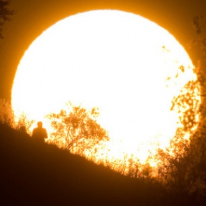 Климатическая катастрофа ускорилась