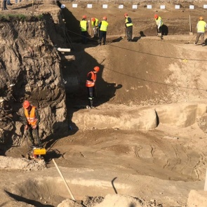 Красноярские археологи раскопали лошадь возрастом 11 тысяч лет