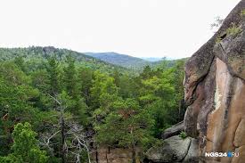 Медведь вышел почти к Свердловской и загнал туристов на скалу «Чертов палец»