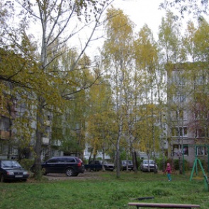 Ценовую аномалию выявили в Подмосковье