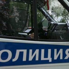 Бывшего руководителя Ачинского и Большеулуйского лесничеств задержали по подозрению в массовой вырубке кедров