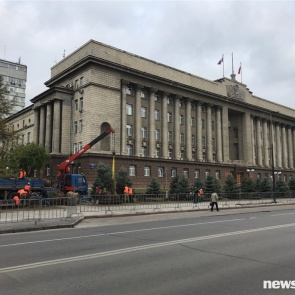 У здания правительства Красноярского края взамен вырубленных посадили новые ели