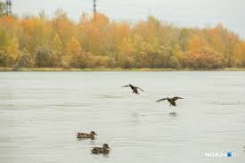 «Идём на рекорд»: в Красноярск пришёл самый тёплый день октября