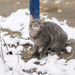 Синоптики пообещали красноярцам необычный ноябрь