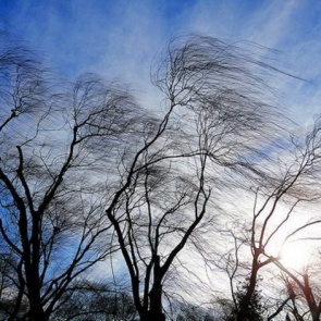 Начавшийся в Красноярске порывистый ветер несет похолодание