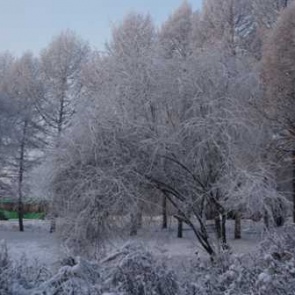 На неделе в Красноярске потеплеет. А потом еще раз и сильнее